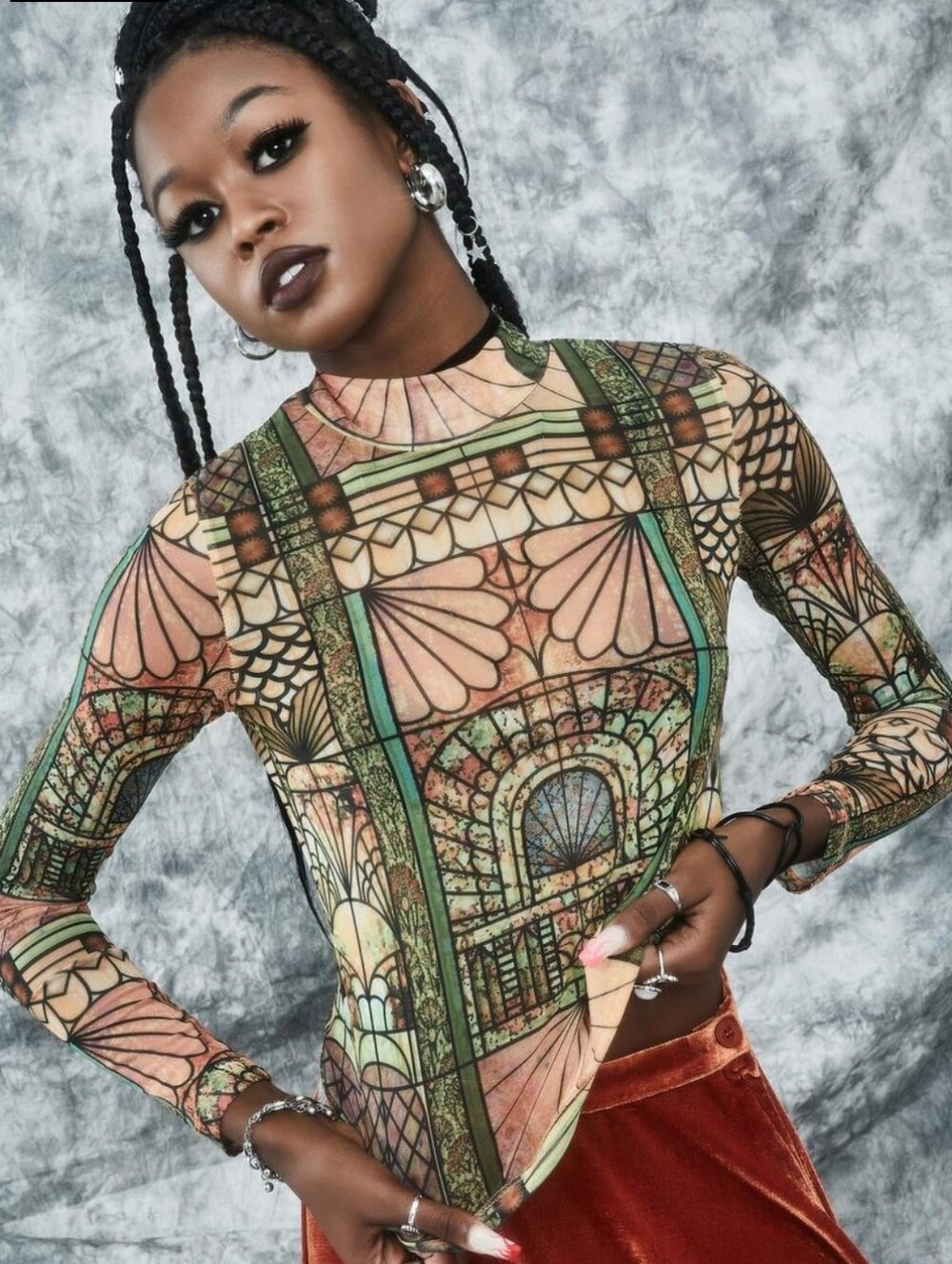 Mesh Long Sleeve Printed Mock Neck Top
